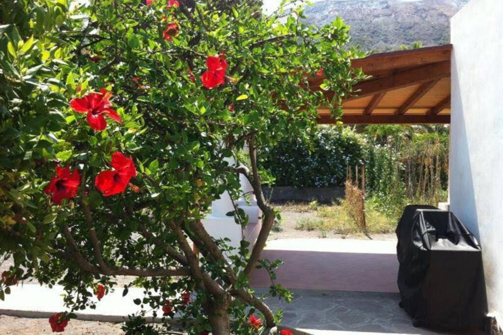 Villa By The Vulcano - 70Mq Plus Large Garden And Patio Exterior photo